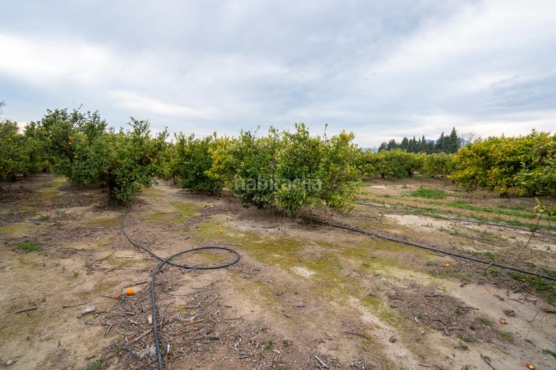 Foto cde0357e-4424-4c1a-982d-652fd68ce060. Landgut in partida sant bernabe 466 in Jesús - Els Reguers Tortosa