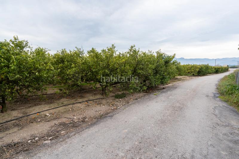 Foto dffa259c-e5ae-4b8f-807e-1816d3f410c1. Landgut in partida sant bernabe 466 in Jesús - Els Reguers Tortosa