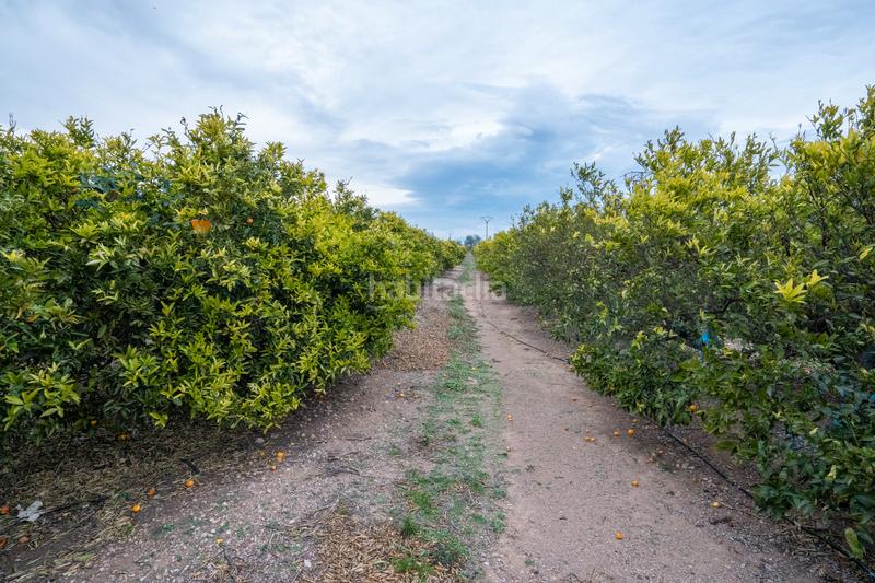 Foto 48a2cb70-a425-4589-bdb7-99d333463d5f. Propriété dans camì vell de la galera 75 dans Vinallop Tortosa