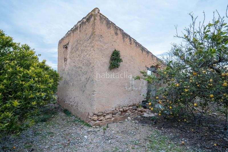 Foto 56885ea1-5479-4e3a-9467-947acc7984d5. Propriété dans camì vell de la galera 75 dans Vinallop Tortosa