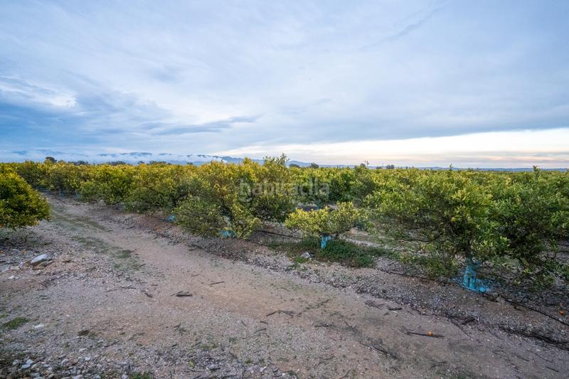 Foto 8fdfb402-afcc-44dc-88e1-b906bf352ca8. Propriété dans camì vell de la galera 75 dans Vinallop Tortosa