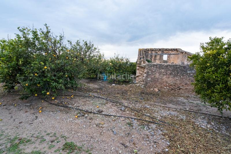 Foto 9ee13c58-edfb-4f96-8210-1785c4deab6d. Propriété dans camì vell de la galera 75 dans Vinallop Tortosa