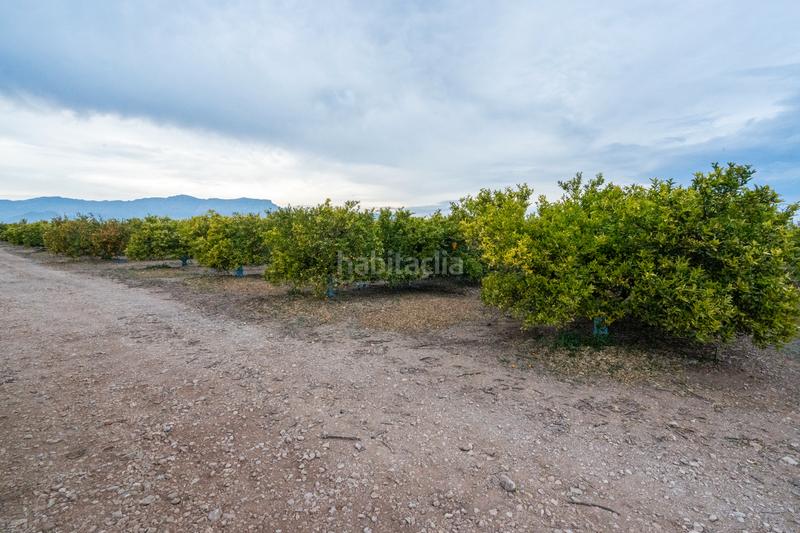 Foto a832f222-0ea7-4d40-aac1-f4489c353855. Propriété dans camì vell de la galera 75 dans Vinallop Tortosa