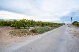 Landgut in Camì vell de la galera 75. Finca de mandarinos plana en producción