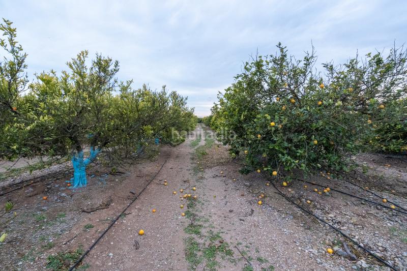 Foto d60cb411-5e91-43a6-916b-fd363bb66c3a. Propriété dans camì vell de la galera 75 dans Vinallop Tortosa
