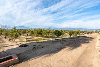 Finca rústica a T-301 42. Huerto con mandarinos cerca de la población de bítem