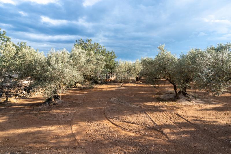 Foto 082080fd-97a0-4ca1-92c0-4a3b223866db. Propriété dans n/a dans Aldover