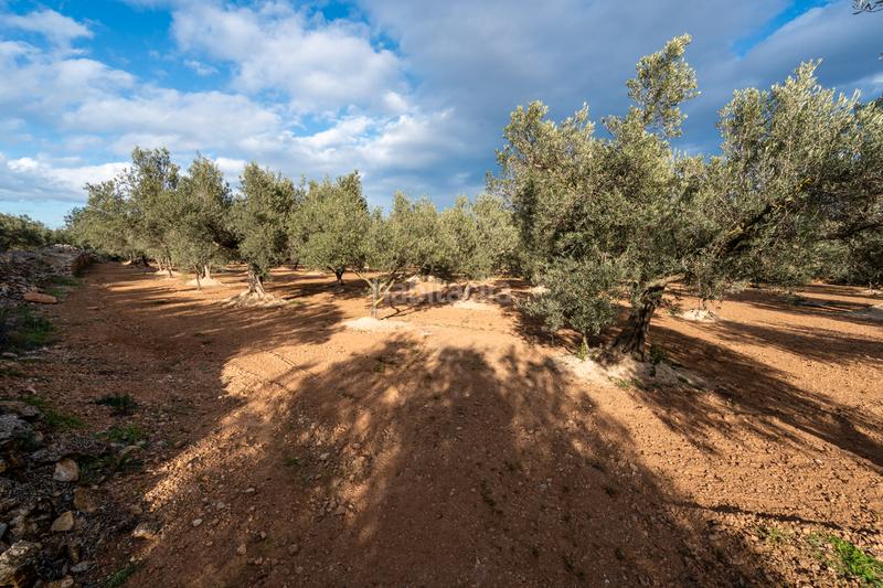 Foto 57cf4252-44e8-4a0e-921f-6c40c829a9d8. Propriété dans n/a dans Aldover