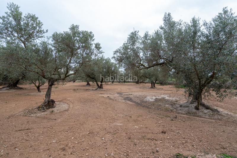 Foto 657052b5-cb65-436b-b661-0b52362c88ed. Propriété dans n/a dans Aldover