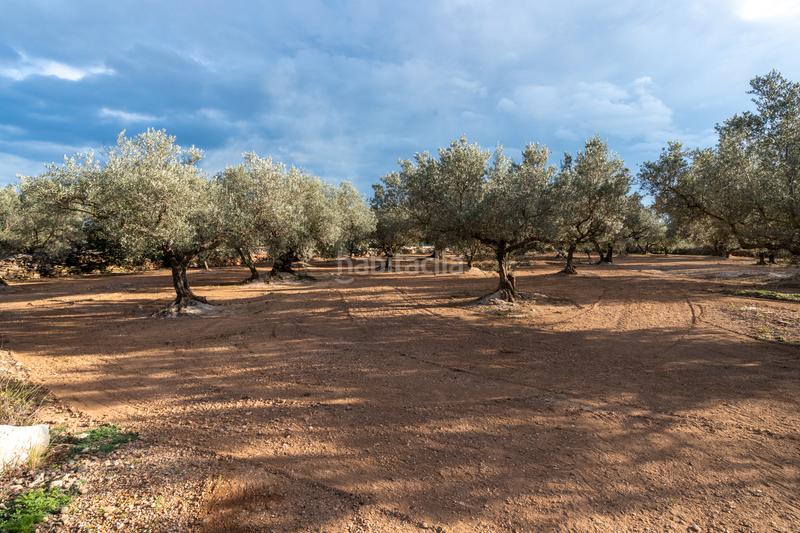 Foto 82b7417e-169b-4837-99c3-15e4ce179682. Propriété dans n/a dans Aldover