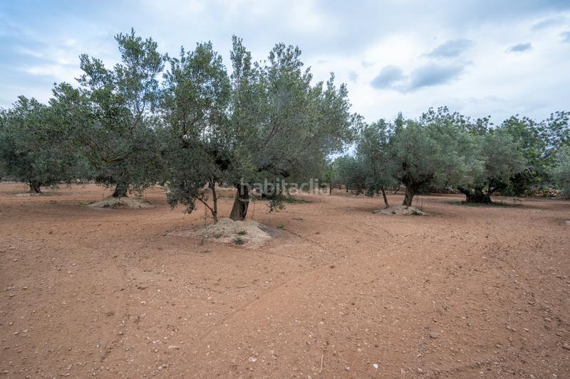 Foto 8bd936af-a4a6-4d31-9bb2-e82ae03a2404. Propriété dans n/a dans Aldover