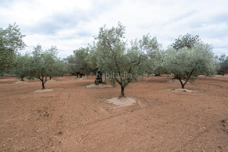 Foto a0ccdcb9-2909-4eac-ad85-0e8ce418fae7. Propriété dans n/a dans Aldover