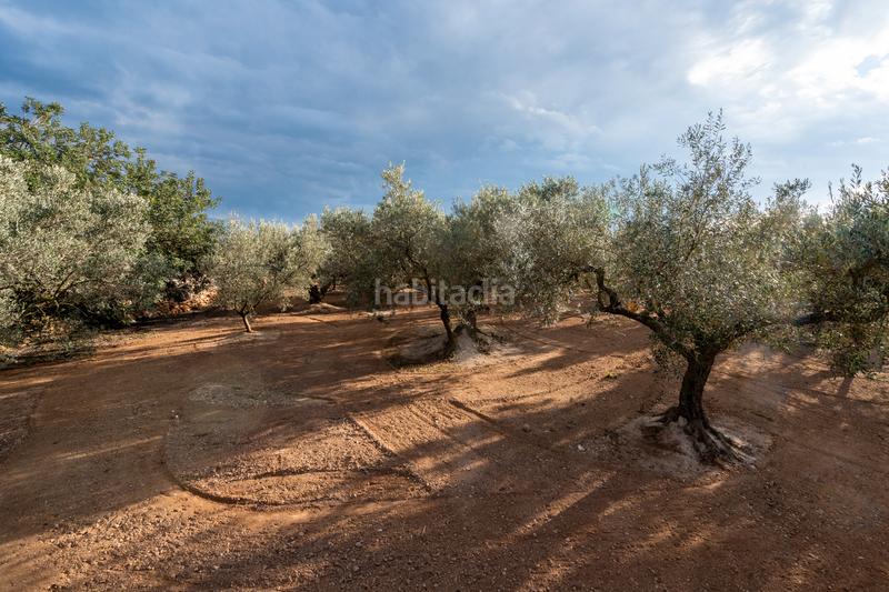 Foto b42d4286-7c6f-49cd-96fc-58660bf0e464. Propriété dans n/a dans Aldover