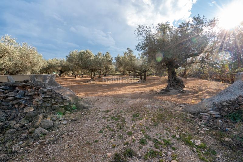 Foto b454d977-3d97-4003-b619-823ec492847e. Propriété dans n/a dans Aldover