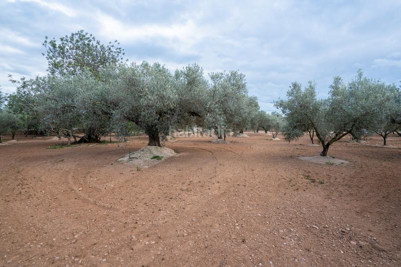 Foto b93b62c7-f645-409d-88bf-df3a40f1f962. Propriété dans n/a dans Aldover