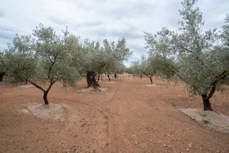 Foto df041ac7-0672-41ca-b991-231183c36227. Propriété dans n/a dans Aldover