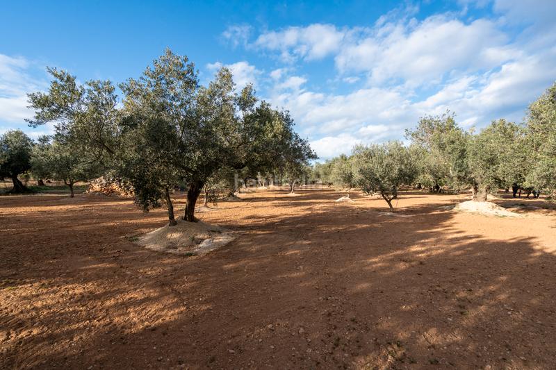 Foto fa10a357-ade2-4b70-9105-bea4d7aa176f. Propriété dans n/a dans Aldover