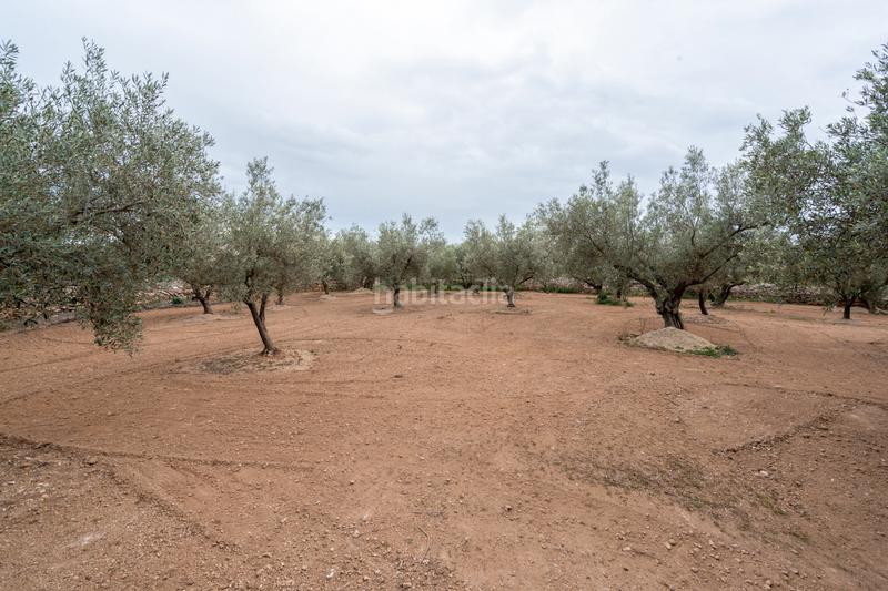 Foto ff23e369-8b51-4c0f-b3fb-f67080897a75. Propriété dans n/a dans Aldover