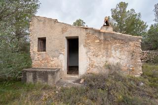 Finca rústica a N/a. Finca rústica de olivos con pequeña casa de aperos