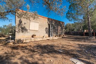 Finca rústica a Camí del rosec 33. Finca rústica de olivos con casa de campo en buen estado
