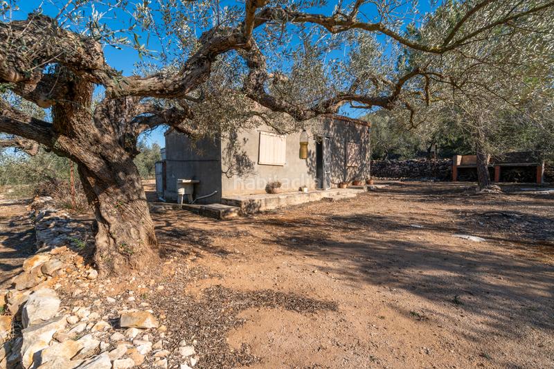 Foto 34af5e4d-3f4d-45cc-a9a2-cadd982ed2ec. Finca rústica a camí del rosec 33 a Godall