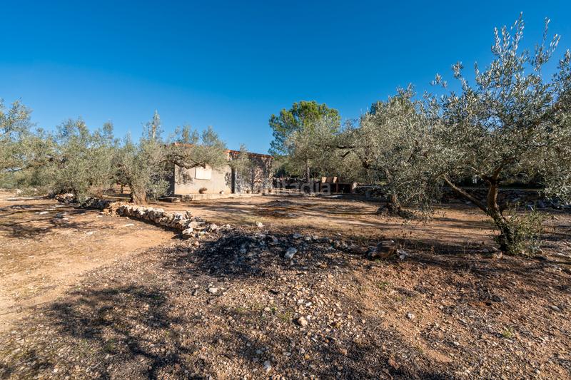 Foto 400906f8-4636-4b91-a527-6b7b1e766095. Finca rústica a camí del rosec 33 a Godall