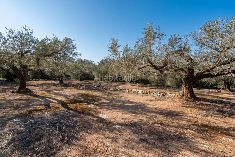 Foto c6d482bb-8faf-45c7-86f9-fcbd8b2e2dac. Finca rústica a camí del rosec 33 a Godall