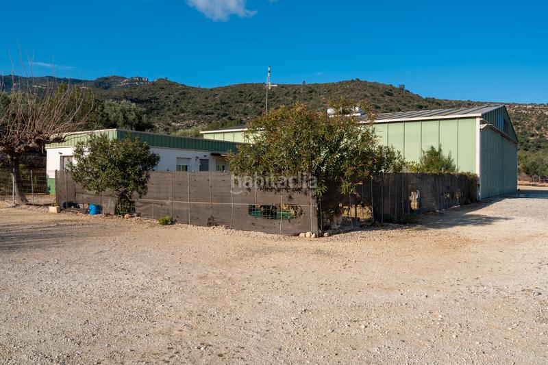 Foto 15b78de8-dd8a-4557-b15b-693b1500f428. Chalet dans camí del mas d'en carrasca 130 dans Valletes - Xiribecs Amposta