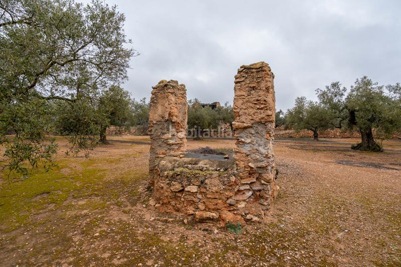Foto 0491568d-7930-4c9f-8d92-8f56326383e3. Propriété dans n/a dans Vinallop Tortosa