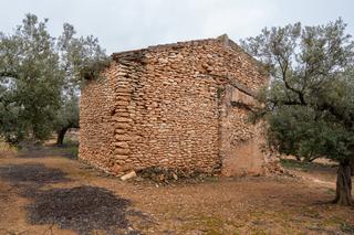 Finca rústica a N/a. Finca rústica de olivos con una ruina y pozo artesano