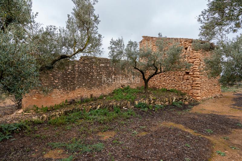 Foto 10e8a5f4-967b-4122-8ebb-8ab939c6070f. Propriété dans n/a dans Vinallop Tortosa