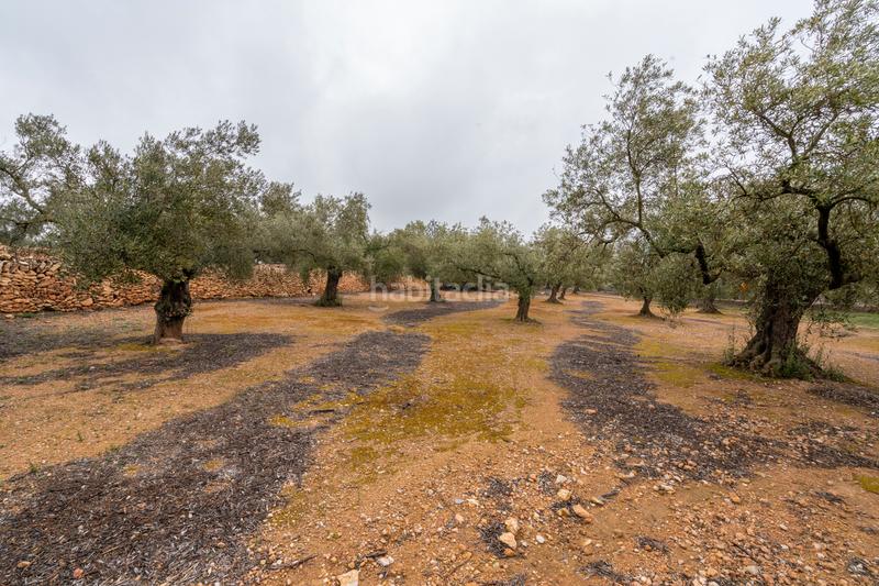 Foto 22982835-6c64-4b46-a234-28c8b2b6bda9. Propriété dans n/a dans Vinallop Tortosa