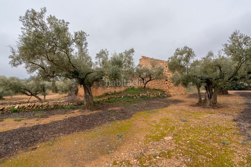 Foto 2cc63ac8-856b-4306-ae28-32eb3af339f1. Propriété dans n/a dans Vinallop Tortosa