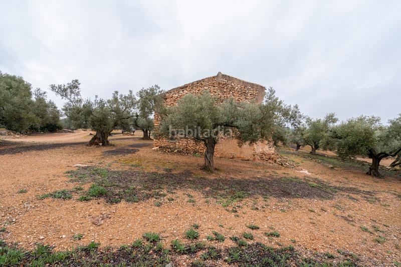 Foto 66891bbe-057a-40a7-bf5d-824b5952f043. Propriété dans n/a dans Vinallop Tortosa