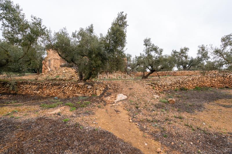 Foto 701fc420-def1-447d-8546-8977efc3c095. Propriété dans n/a dans Vinallop Tortosa