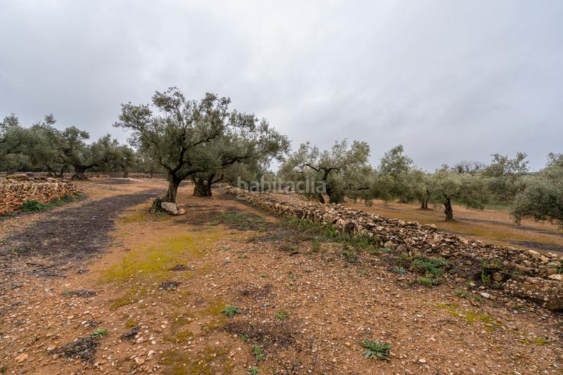 Foto b02ef47e-f6e9-4381-bff7-0cad441a9274. Propriété dans n/a dans Vinallop Tortosa