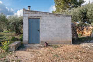 Finca rústica a N/a. Finca rústica de olivos con pequeña edificación
