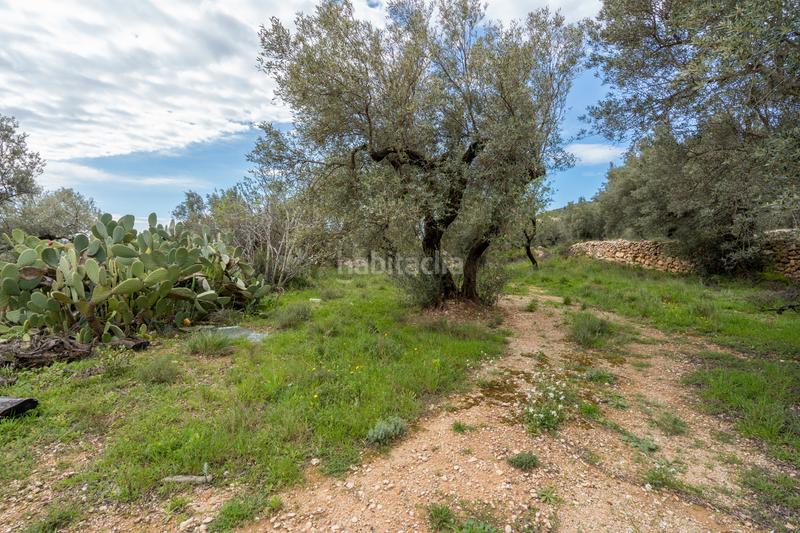 Foto 1feb06bc-1ac6-45df-bacc-cf7348f0d2dd. Fondo rustico in tv-3421 31 in Mas de Barberans