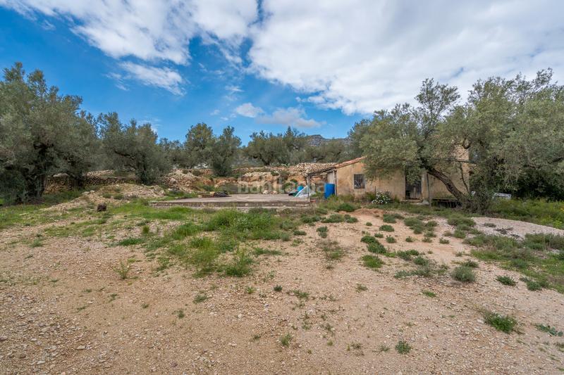 Foto 2102f8a6-6b14-4f2e-9175-e04e11eb59e8. Fondo rustico in tv-3421 31 in Mas de Barberans