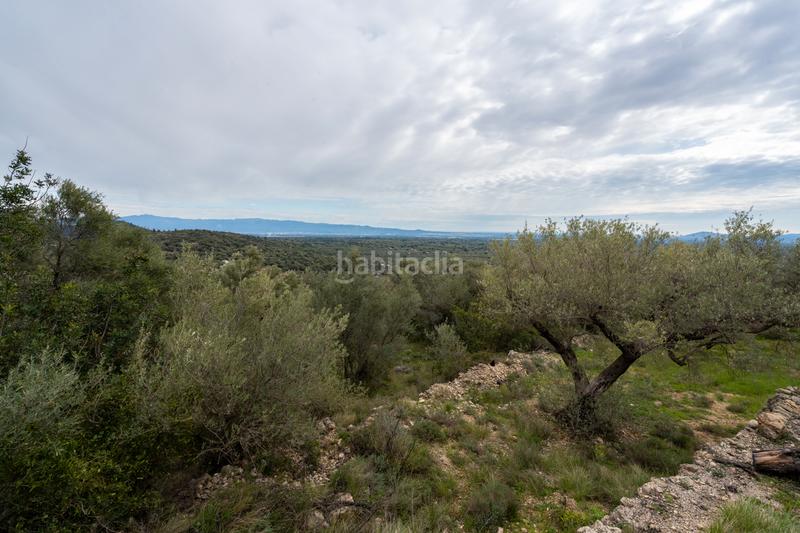 Foto 23e37fab-ad3d-466d-b4f4-28df3d0949d9. Fondo rustico in tv-3421 31 in Mas de Barberans