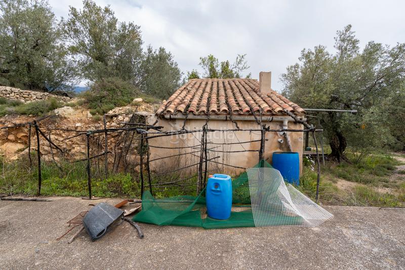 Foto 2e4017fd-7e71-4c35-9c98-8b06edf23805. Fondo rustico in tv-3421 31 in Mas de Barberans