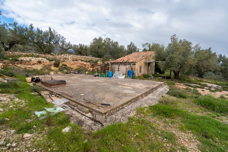 Foto 3eb53518-6037-40b1-bcb7-97753c44d5d4. Fondo rustico in tv-3421 31 in Mas de Barberans