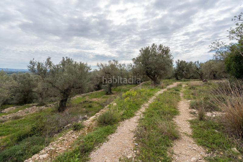 Foto 44dc0e33-2746-4a84-9e96-7bb4c0bad2f3. Fondo rustico in tv-3421 31 in Mas de Barberans