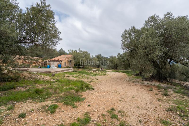 Foto 4b5f45f7-e8f8-4bdf-9eb3-370a788fdab7. Fondo rustico in tv-3421 31 in Mas de Barberans