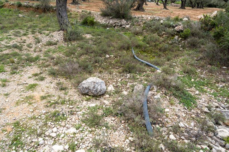 Foto 4c3e10c1-0aee-4316-a59e-b2ac05f95c48. Fondo rustico in tv-3421 31 in Mas de Barberans