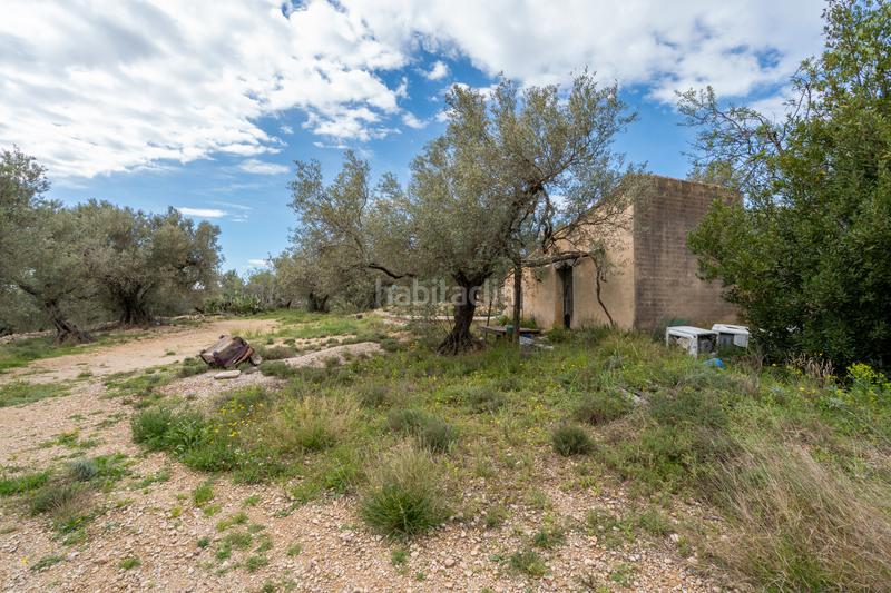 Foto 91ae6b32-2cd1-43af-8ed3-65a7e6c87878. Fondo rustico in tv-3421 31 in Mas de Barberans