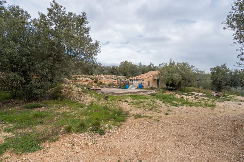 Foto 978c88a0-e03e-4846-8b4a-029add9ea273. Fondo rustico in tv-3421 31 in Mas de Barberans