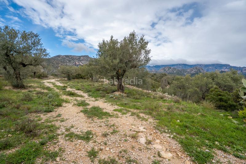 Foto 9a10629d-6be1-42f0-8aac-8612d2663003. Fondo rustico in tv-3421 31 in Mas de Barberans