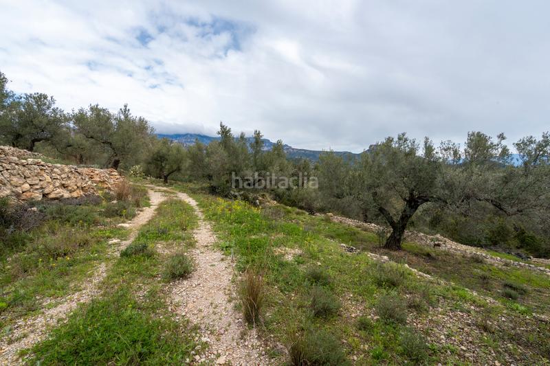 Foto 9f09e5e6-7dc9-4f93-8f71-ecd296e784d5. Fondo rustico in tv-3421 31 in Mas de Barberans