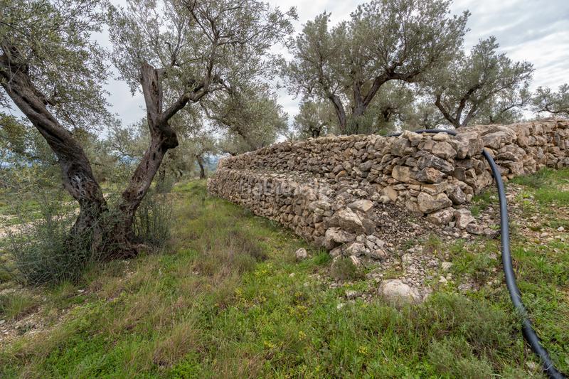 Foto a1881e47-5a3a-46bc-99bf-8708a6e01c66. Fondo rustico in tv-3421 31 in Mas de Barberans